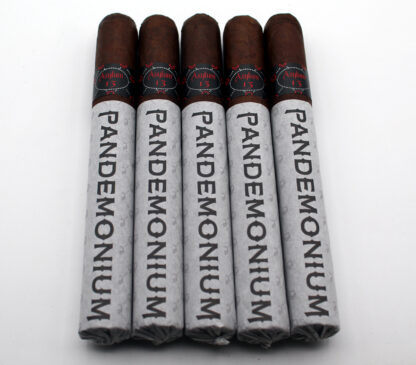 Asylum 13 Pandemonium (5-Pack)