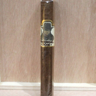 Prodigal Son for Martin Kove by Sanj Patel (single)