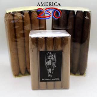 Sanj's AMERICA250 PACKAGE 3 (C)