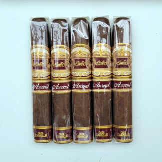 E.P. Carrillo Ascend Saddle (5-Pack)